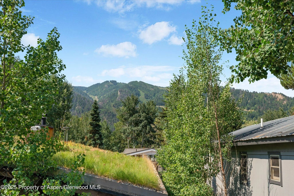 20 of 23 - 306 Oak Lane, Aspen, CO
