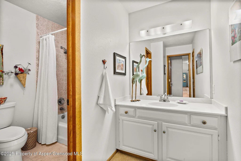 17 of 44 - 283 Meadow Lane, Glenwood Springs, CO