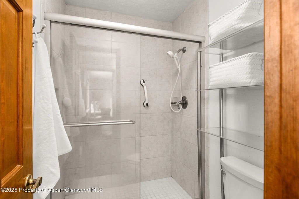 18 of 44 - 283 Meadow Lane, Glenwood Springs, CO
