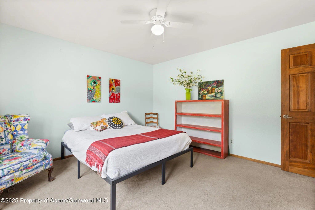 20 of 44 - 283 Meadow Lane, Glenwood Springs, CO