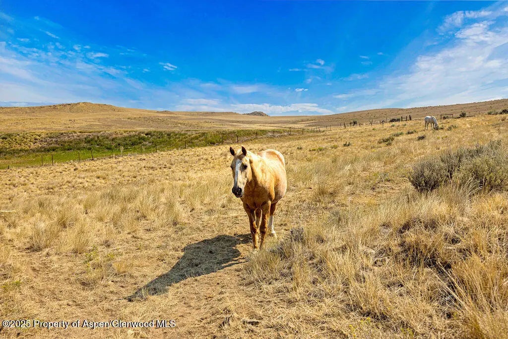 8 of 19 - Tbd County Road 64, Craig, CO