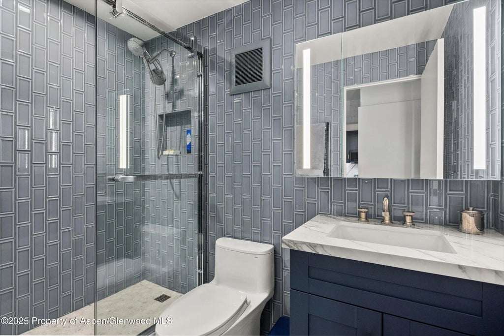 10 of 11 - 332 Vine Street, Aspen, CO