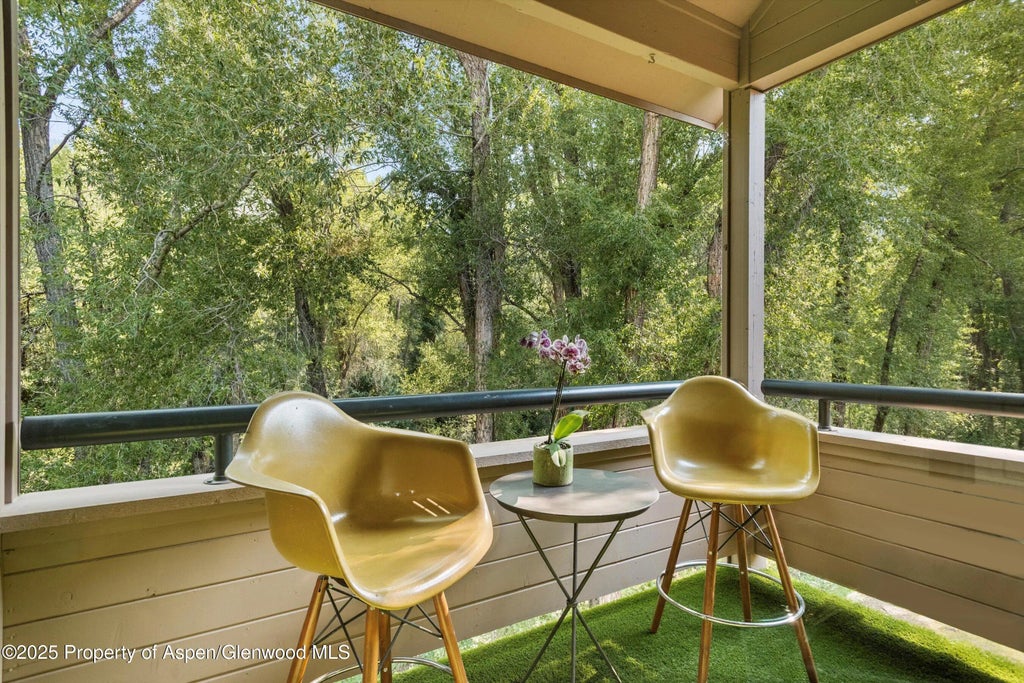 6 of 11 - 332 Vine Street, Aspen, CO