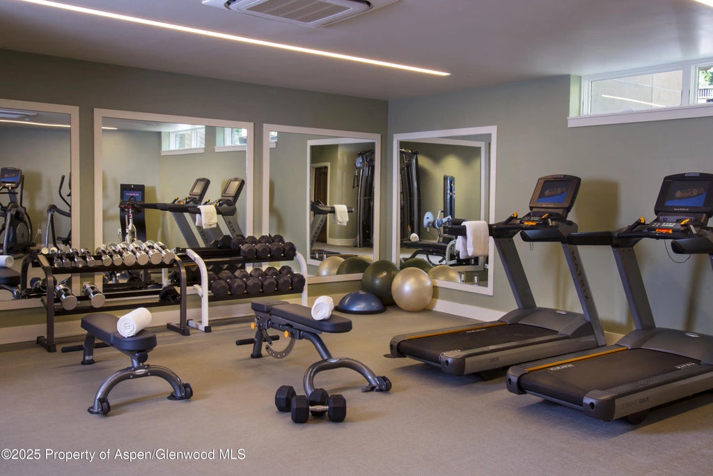 24 of 26 - 610 S West End Street Unit K103, Aspen, CO