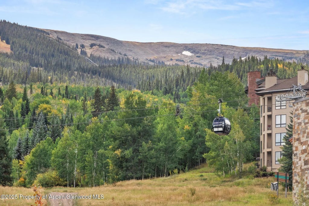 48 of 50 - 130 Wood Road 265-267, Snowmass Village, CO