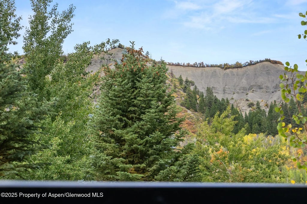 49 of 50 - 130 Wood Road 265-267, Snowmass Village, CO