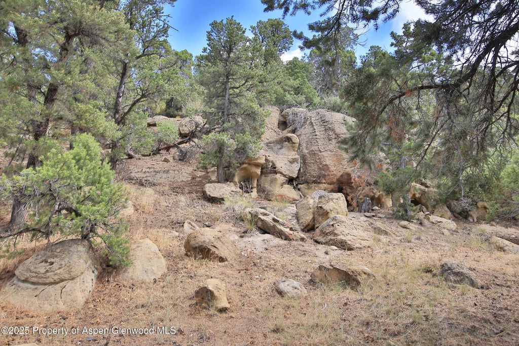 37 of 50 - 18842 Kimball Creek Road, Collbran, CO