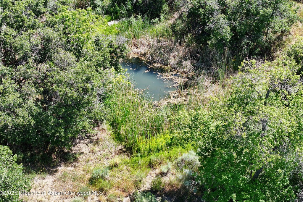 38 of 50 - 18842 Kimball Creek Road, Collbran, CO