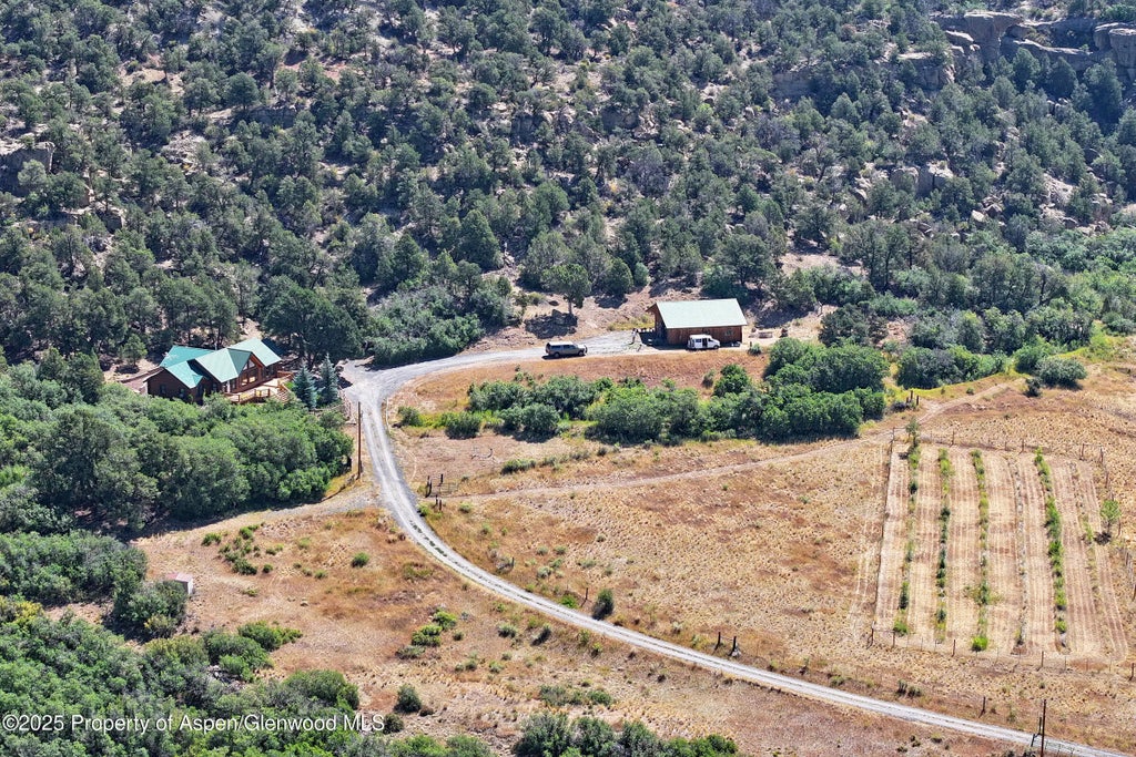 39 of 50 - 18842 Kimball Creek Road, Collbran, CO