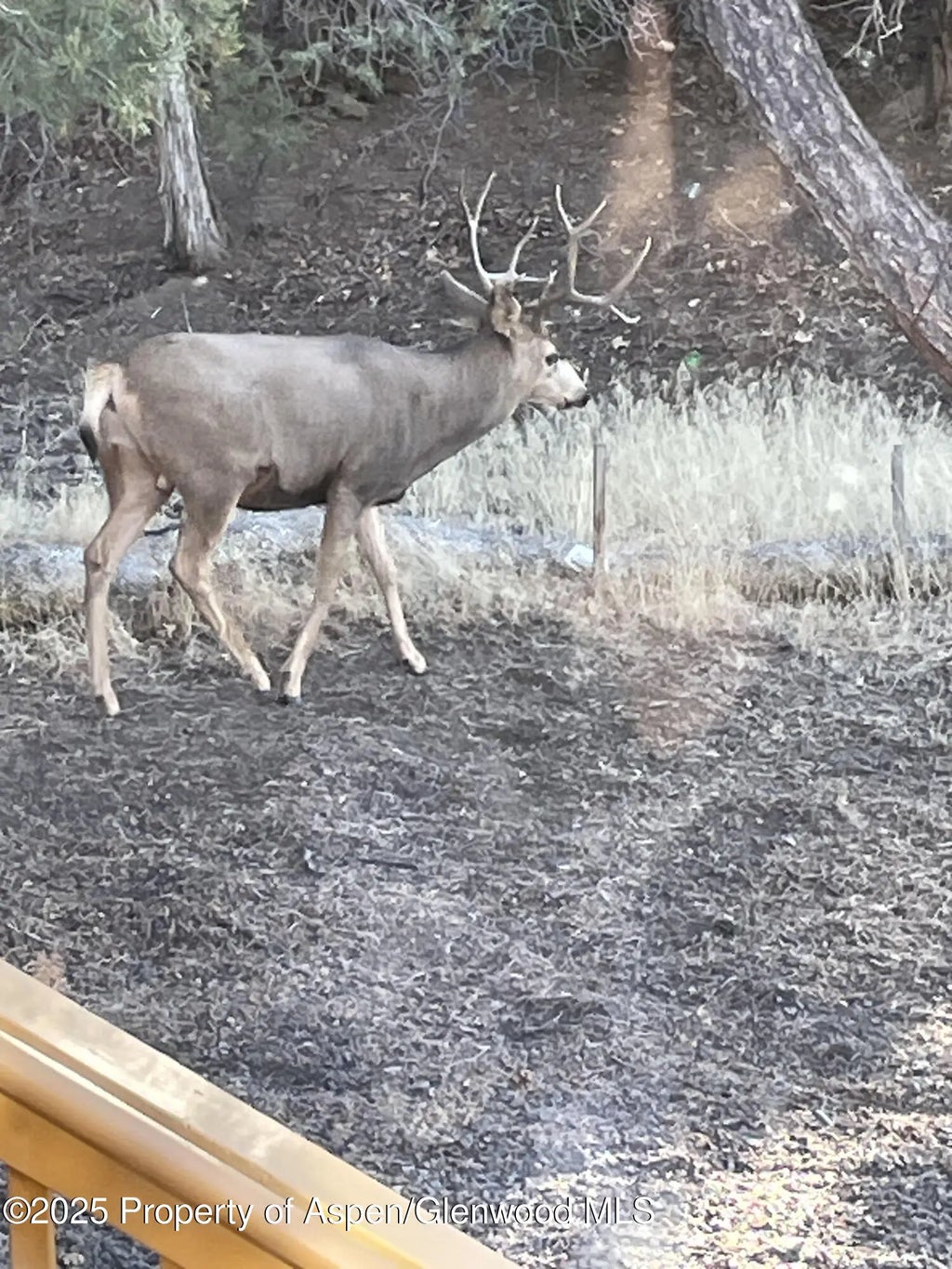 45 of 50 - 18842 Kimball Creek Road, Collbran, CO