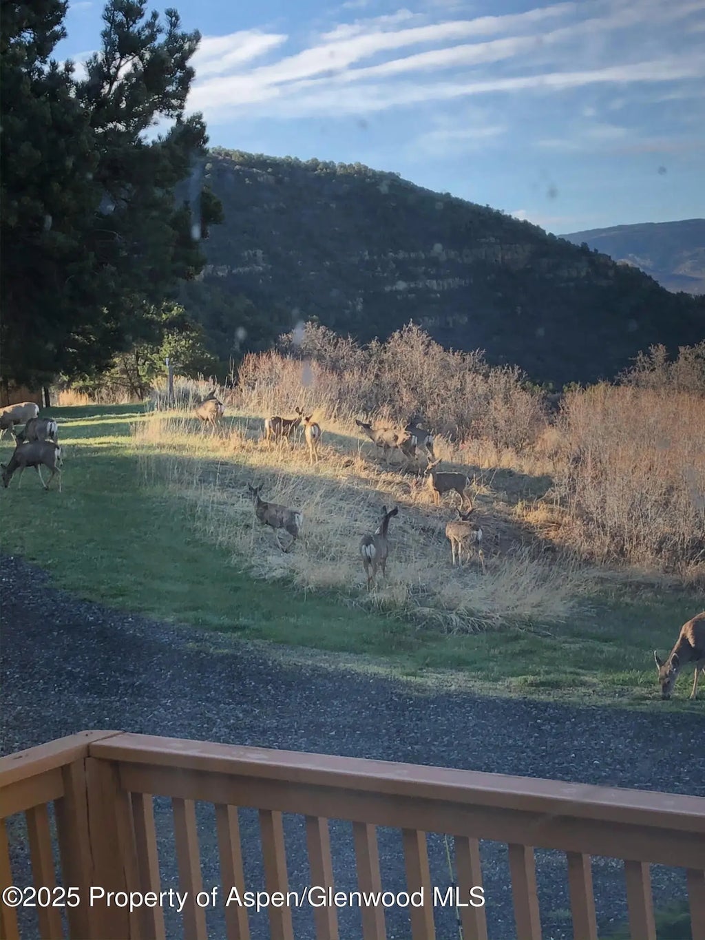 47 of 50 - 18842 Kimball Creek Road, Collbran, CO