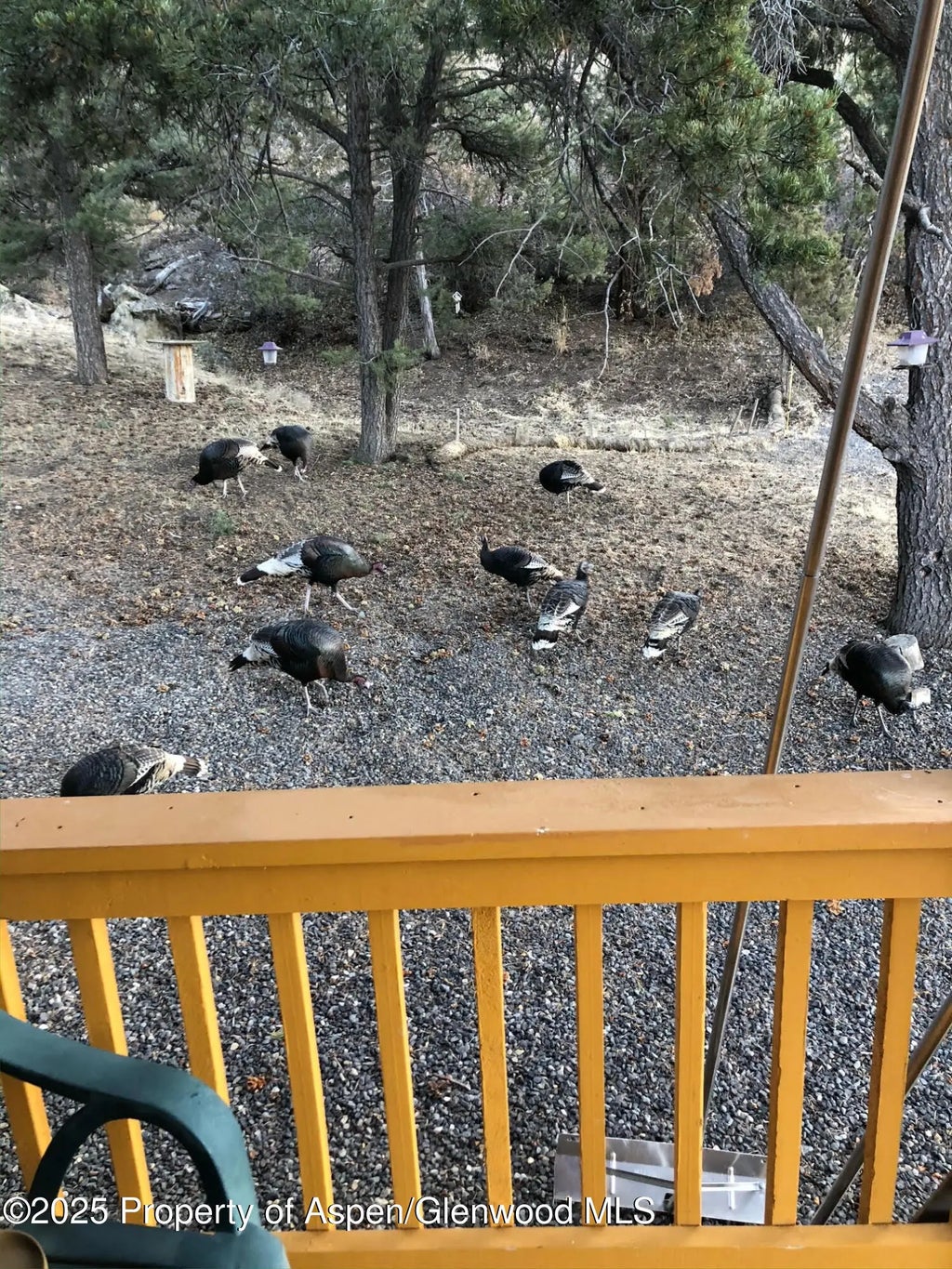 49 of 50 - 18842 Kimball Creek Road, Collbran, CO