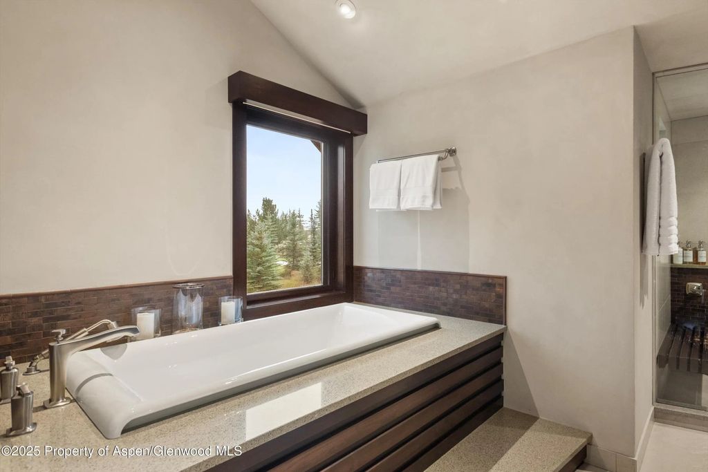 24 of 28 - 101 Byers Court, Aspen, CO