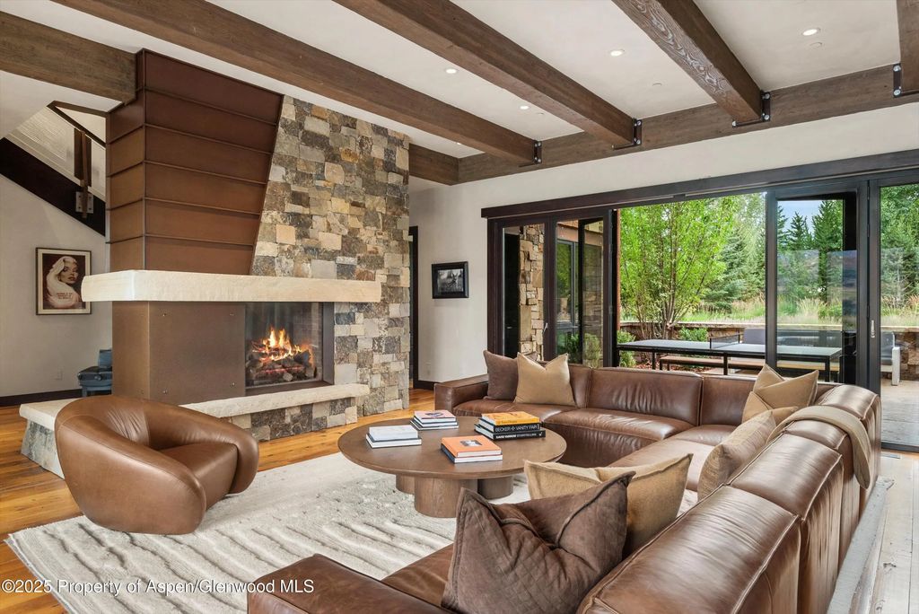 6 of 28 - 101 Byers Court, Aspen, CO