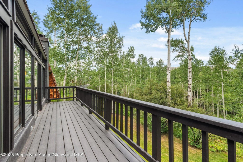 38 of 38 - 49 Elk Ridge Lane, Snowmass Village, CO