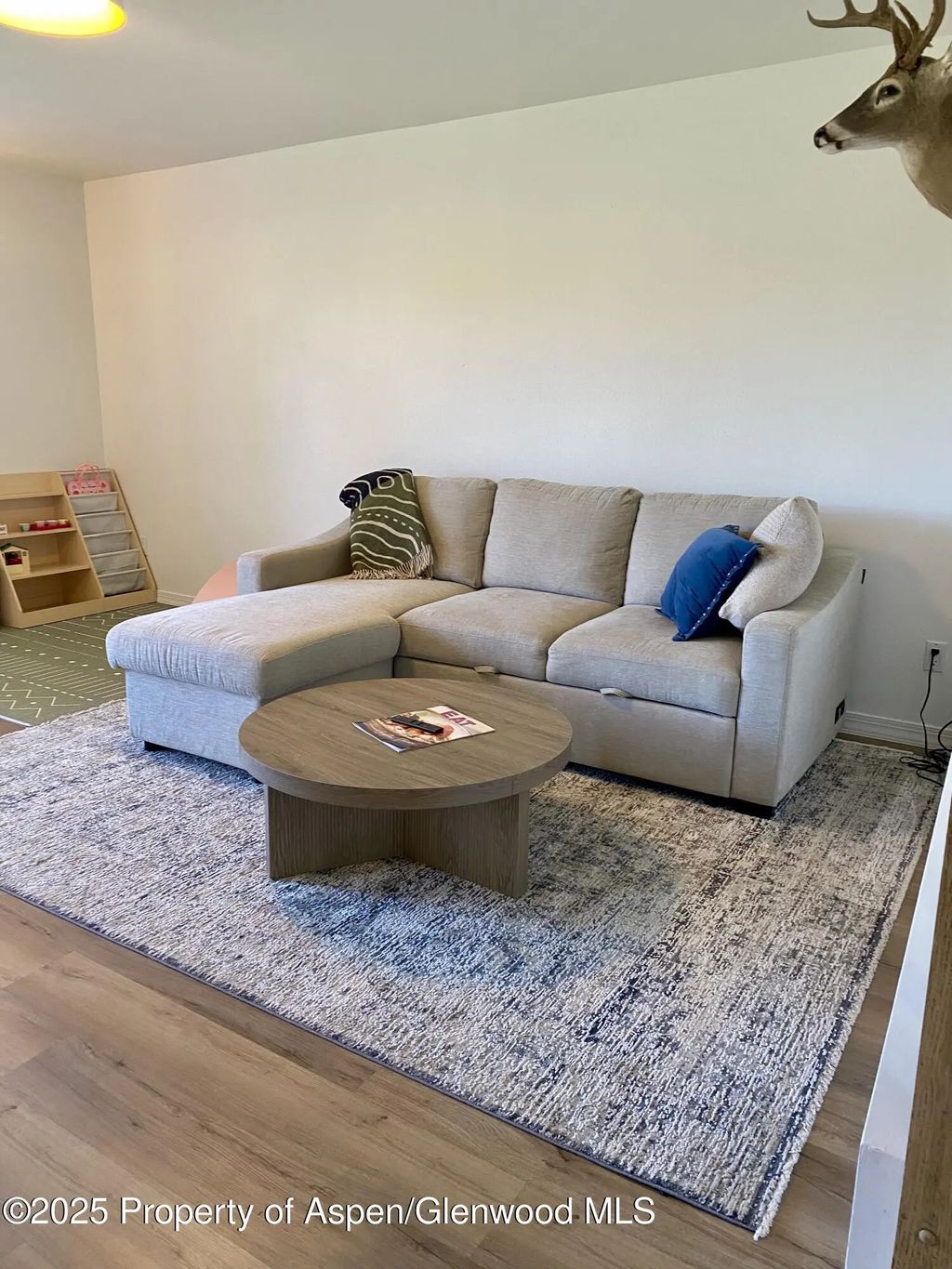 4 of 26 - 1167 Vitos Way, Carbondale, CO