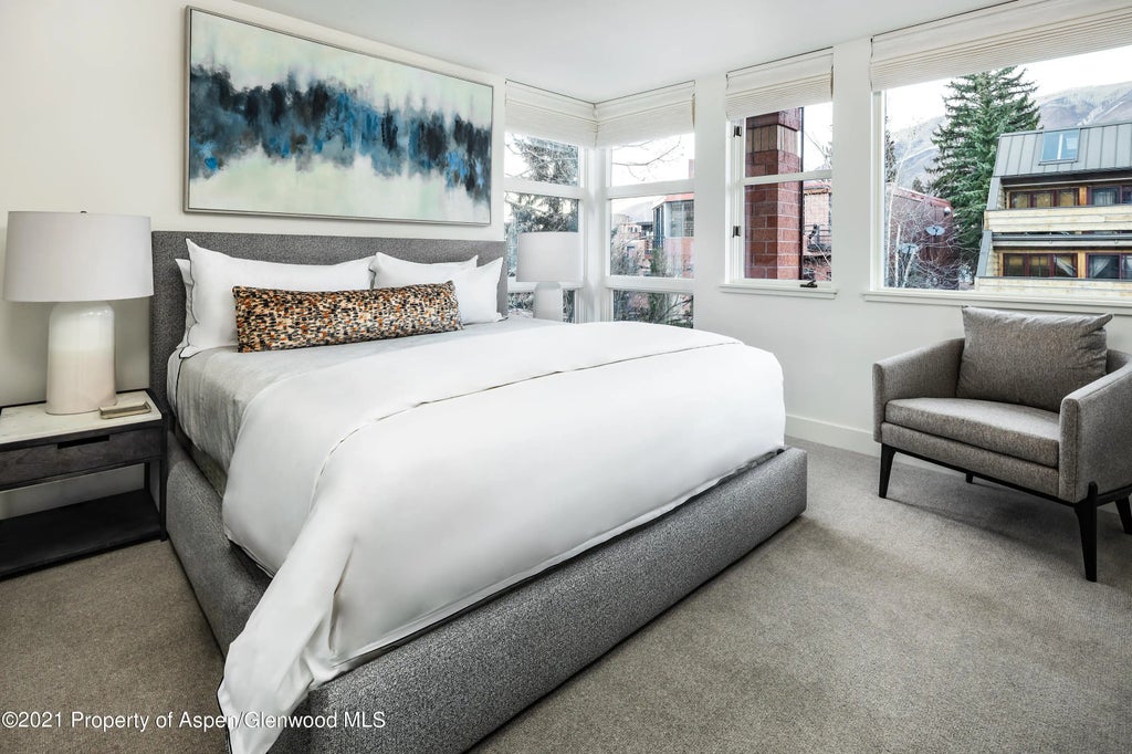 16 of 25 - 704 E Hyman Avenue, Aspen, CO