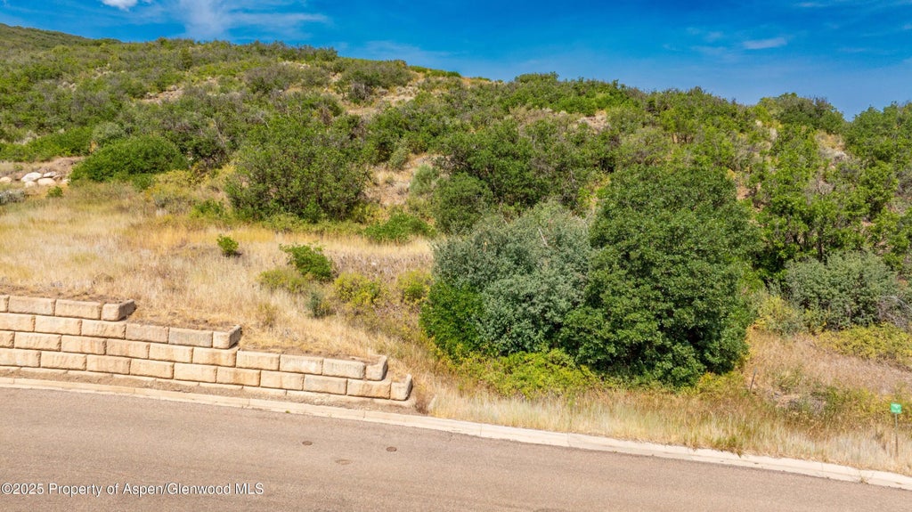 9 of 14 - 305 Old Midland Spur, Glenwood Springs, CO