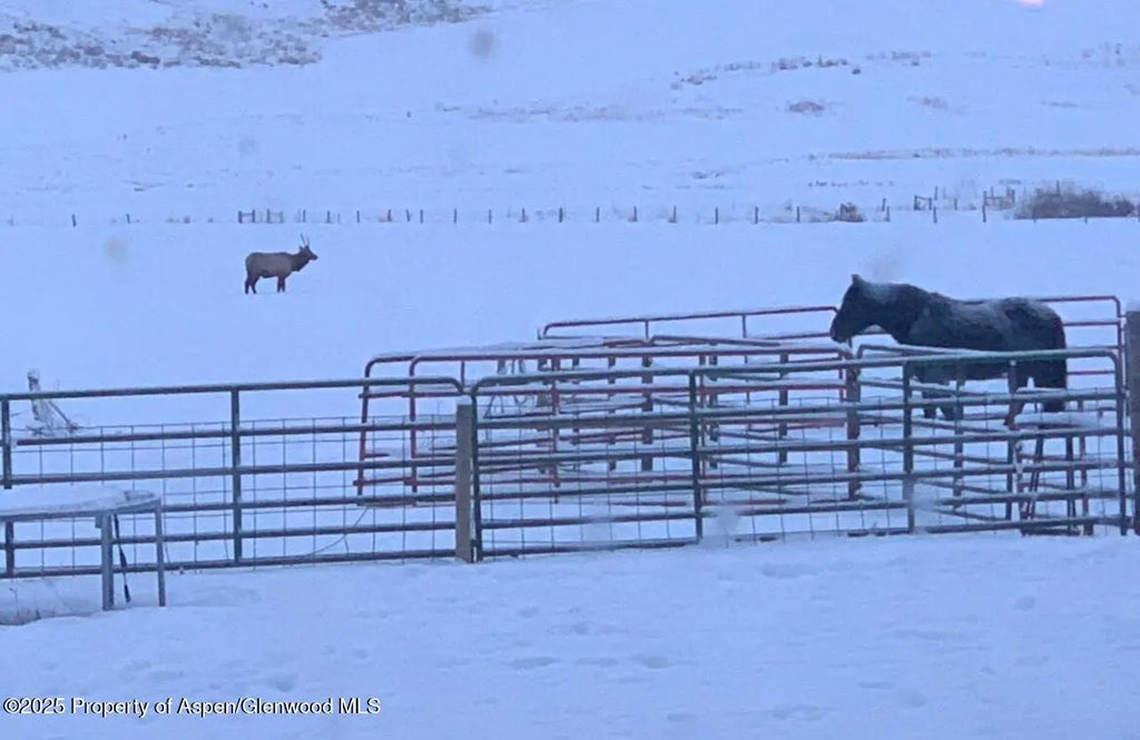 162 of 165 - 2956 County Road 37, Hamilton, CO