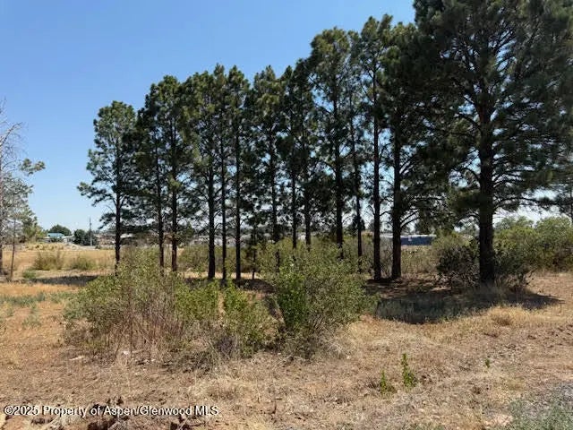 16 of 36 - 21045 Nowhere Road, Eckert, CO