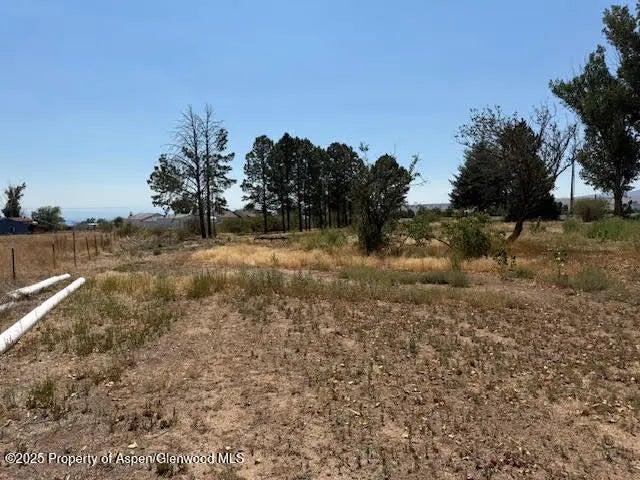 25 of 36 - 21045 Nowhere Road, Eckert, CO