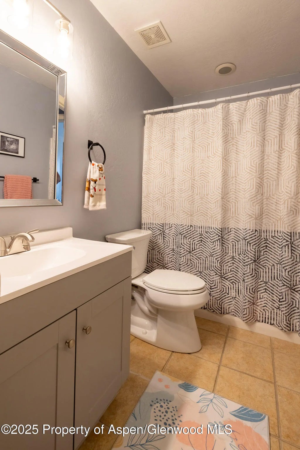 10 of 14 - 614 Lakeside Drive, Basalt, CO