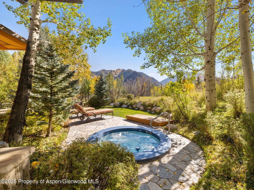 54 of 65 - 715 Willoughby Way, Aspen, CO