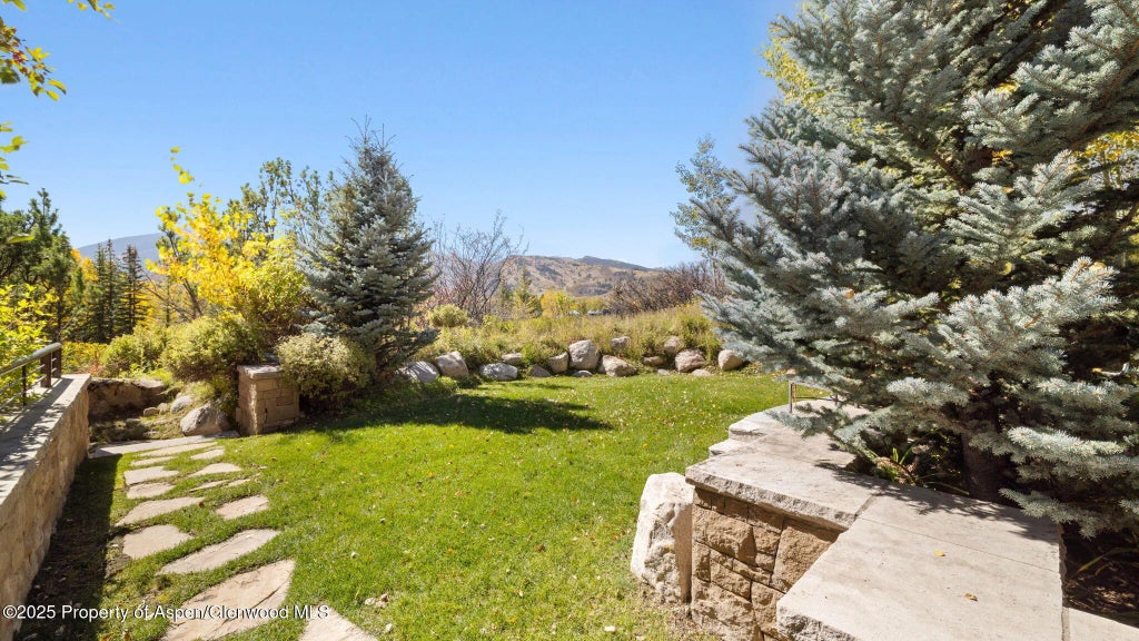 56 of 65 - 715 Willoughby Way, Aspen, CO