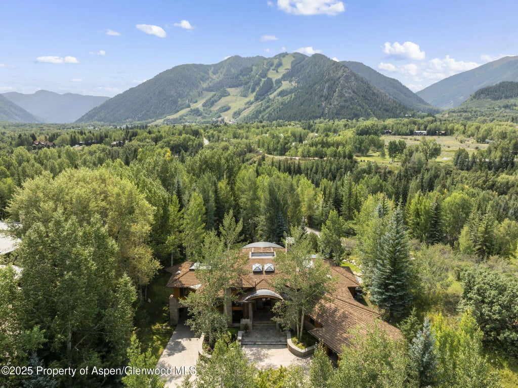 60 of 65 - 715 Willoughby Way, Aspen, CO