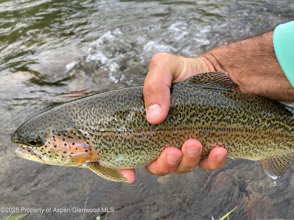 1 of 27 - 404 Stagecoach Lane, Carbondale, CO