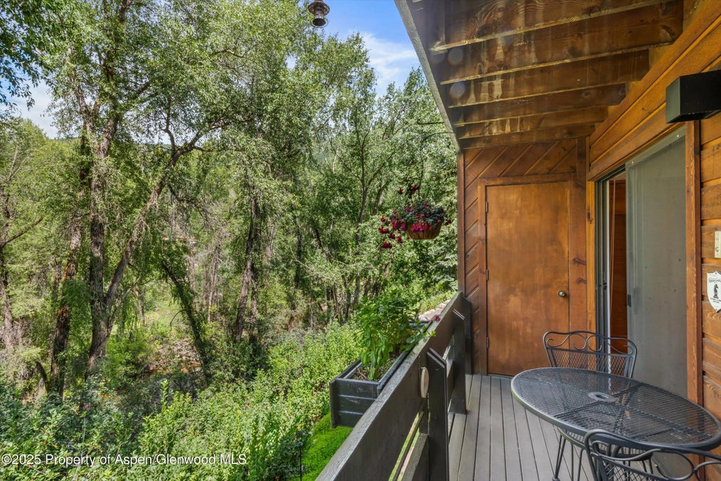 18 of 19 - 824 E Hopkins Avenue 102 And 202, Aspen, CO