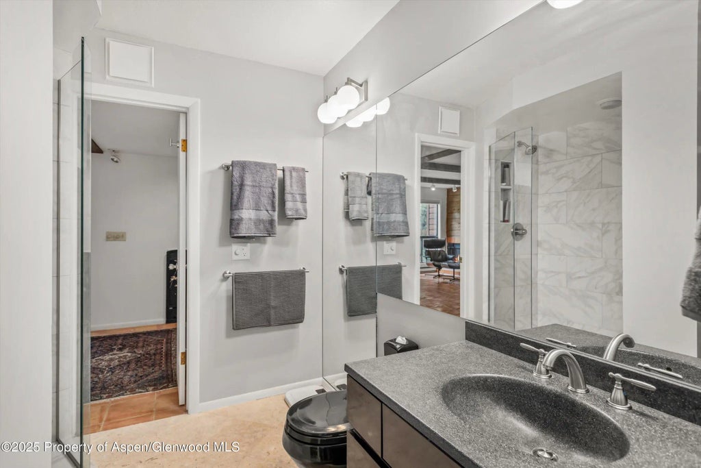 4 of 19 - 824 E Hopkins Avenue 102 And 202, Aspen, CO