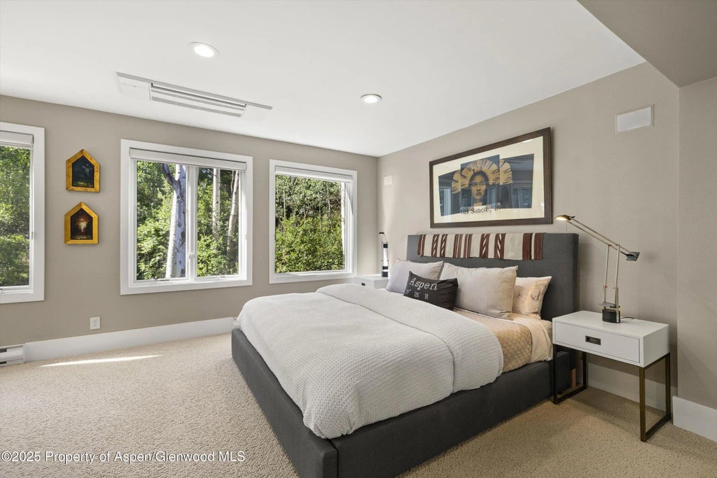 12 of 33 - 1145 Black Birch Drive, Aspen, CO