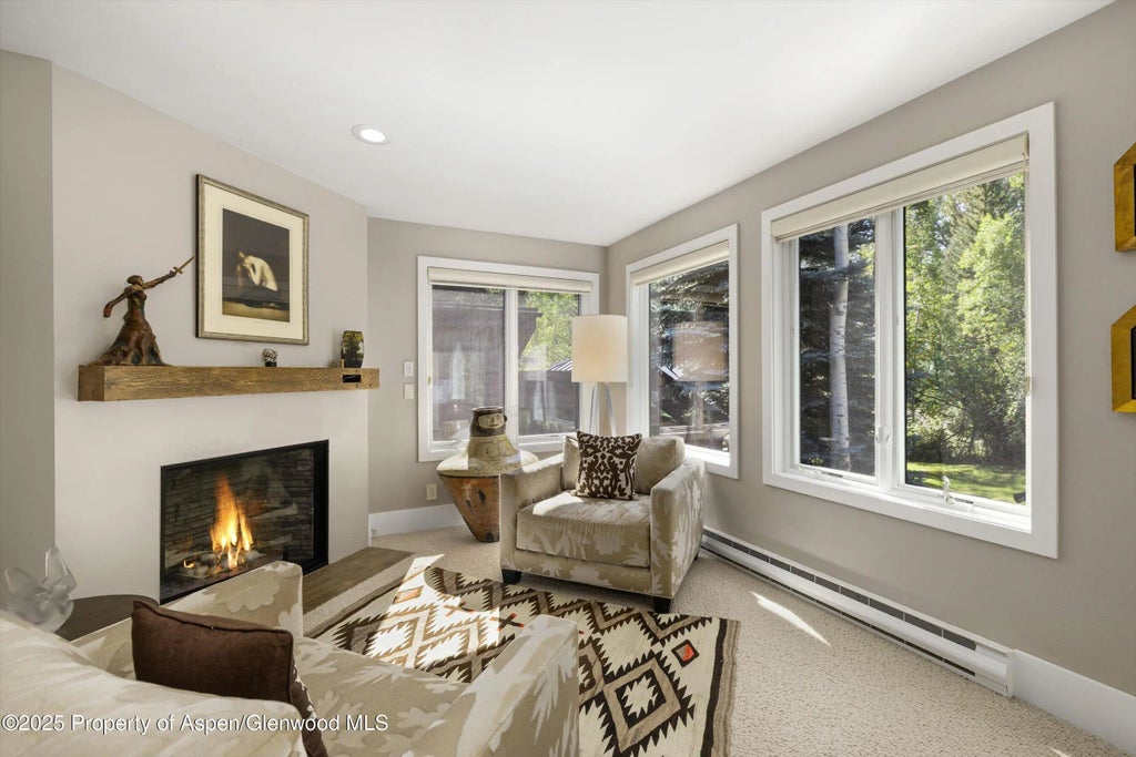 13 of 33 - 1145 Black Birch Drive, Aspen, CO