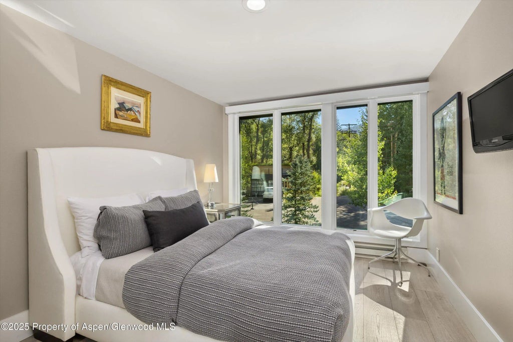 21 of 33 - 1145 Black Birch Drive, Aspen, CO