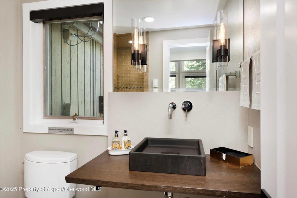 22 of 33 - 1145 Black Birch Drive, Aspen, CO