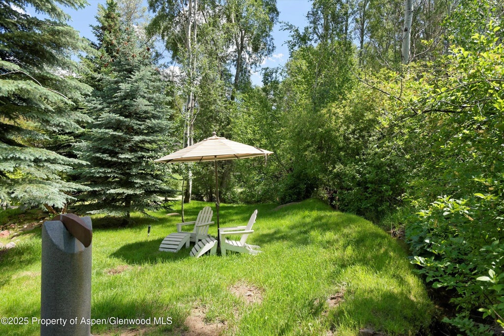 31 of 33 - 1145 Black Birch Drive, Aspen, CO