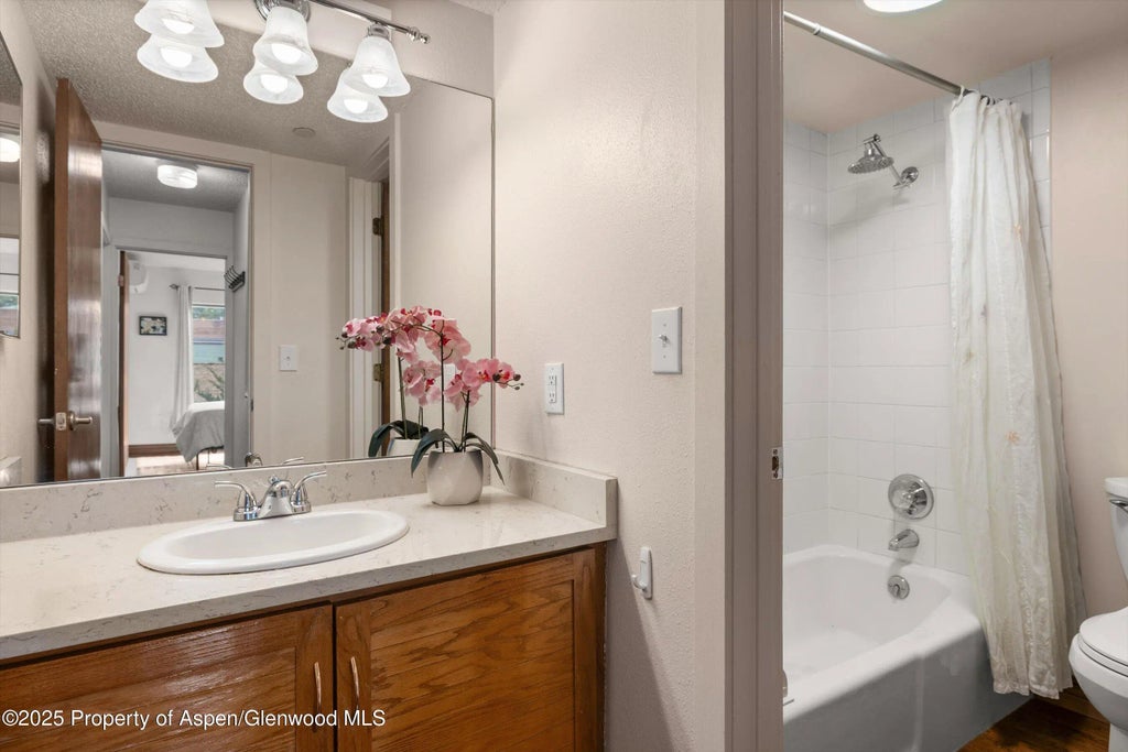 11 of 14 - 100 Midland Avenue #106, Basalt, CO