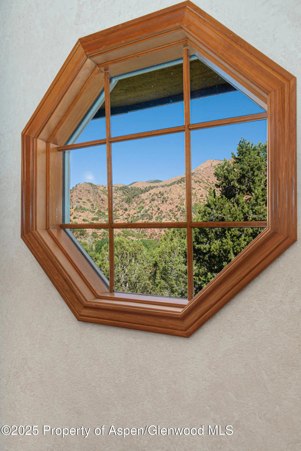 25 of 50 - 687 Canyon Creek Drive, Glenwood Springs, CO