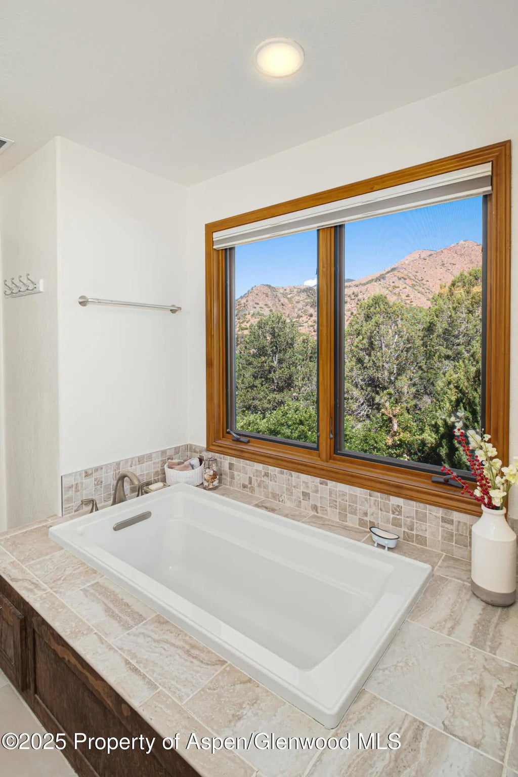 29 of 50 - 687 Canyon Creek Drive, Glenwood Springs, CO