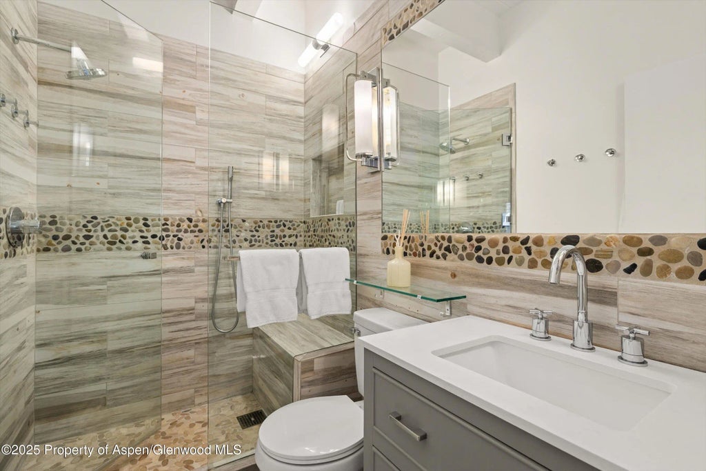 15 of 24 - 731 E Durant Avenue Unit 21, Aspen, CO