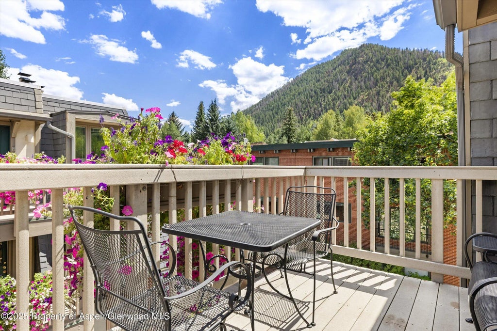 22 of 24 - 731 E Durant Avenue Unit 21, Aspen, CO