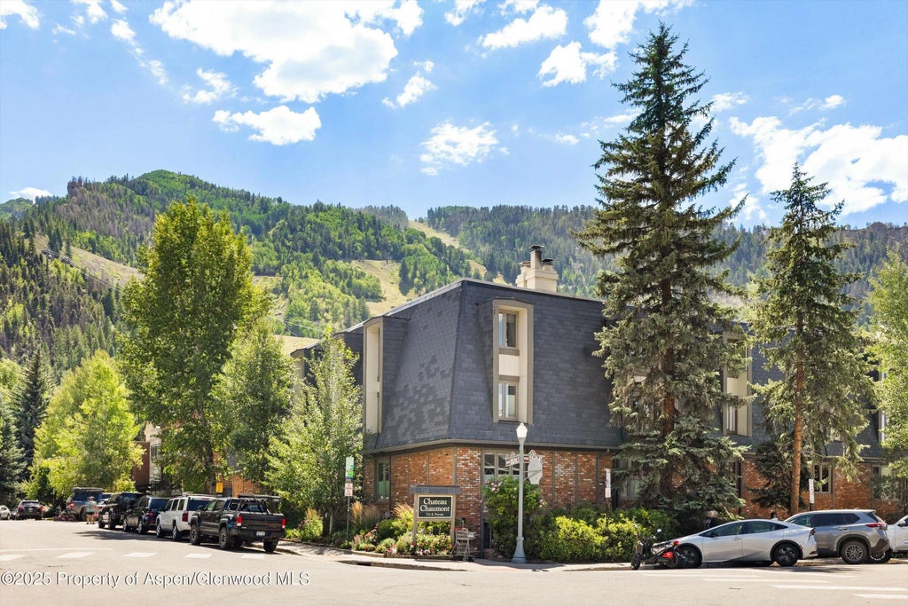 24 of 24 - 731 E Durant Avenue Unit 21, Aspen, CO
