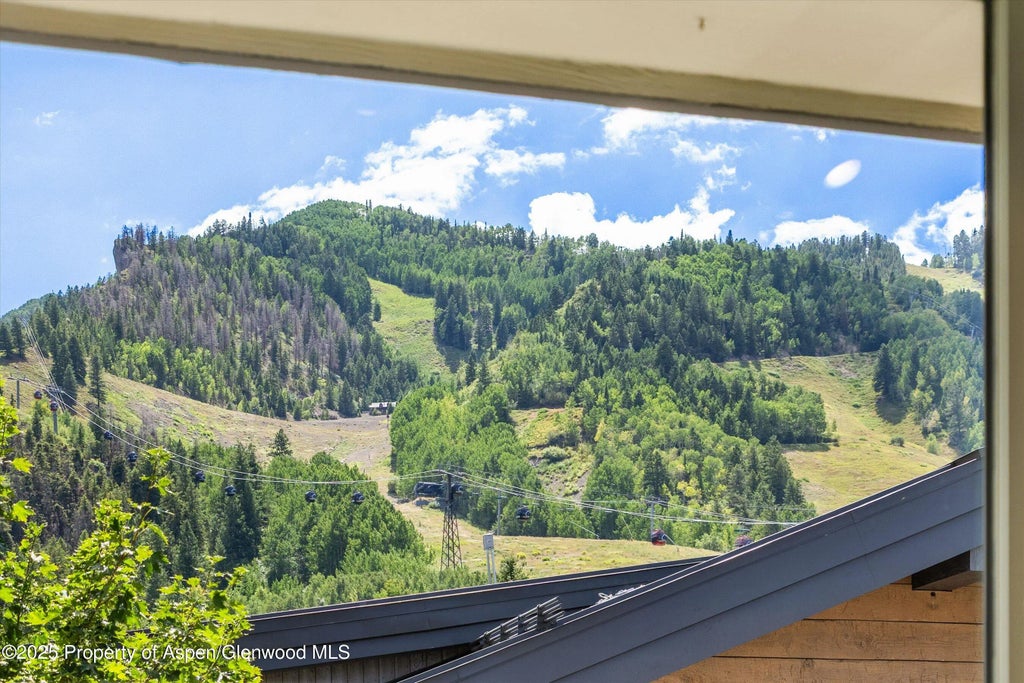 5 of 24 - 731 E Durant Avenue Unit 21, Aspen, CO