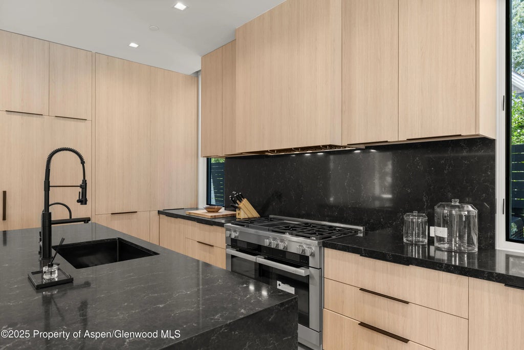 13 of 55 - 219 W Bleeker Street, Aspen, CO