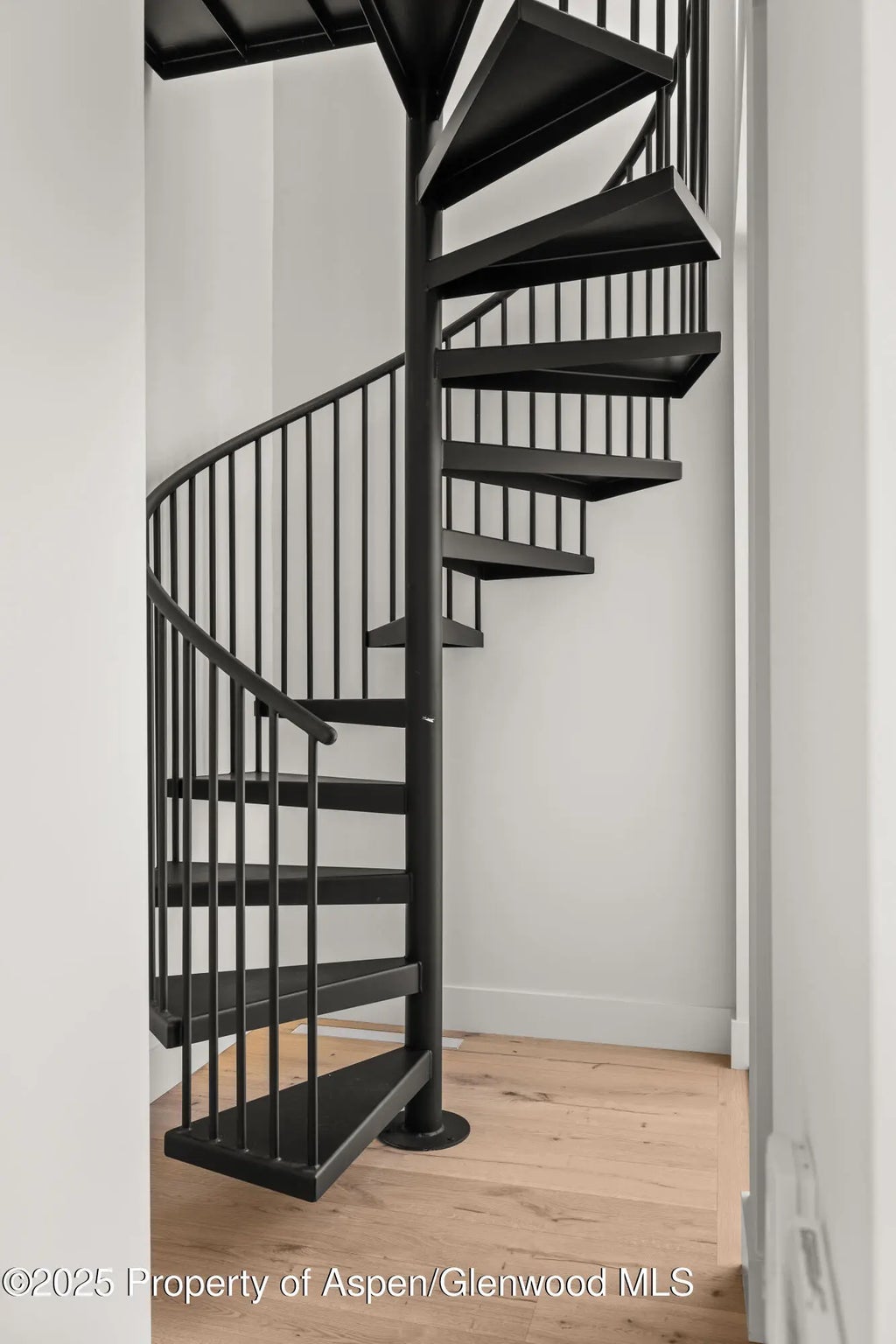 16 of 55 - 219 W Bleeker Street, Aspen, CO