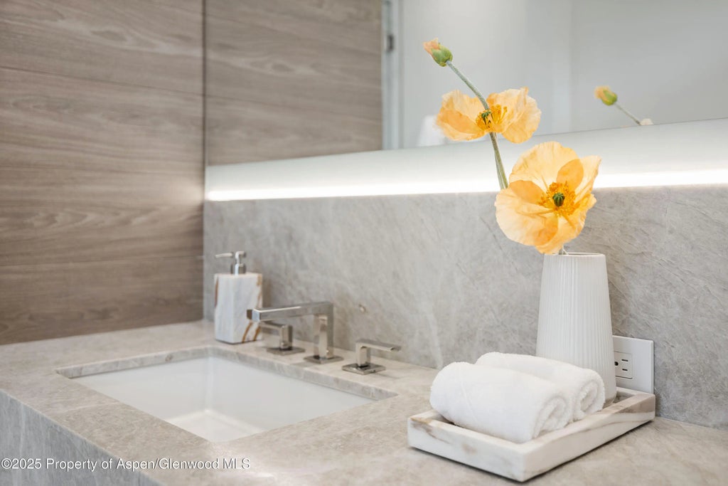 33 of 55 - 219 W Bleeker Street, Aspen, CO