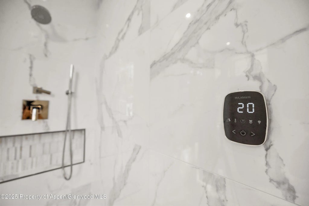 35 of 55 - 219 W Bleeker Street, Aspen, CO