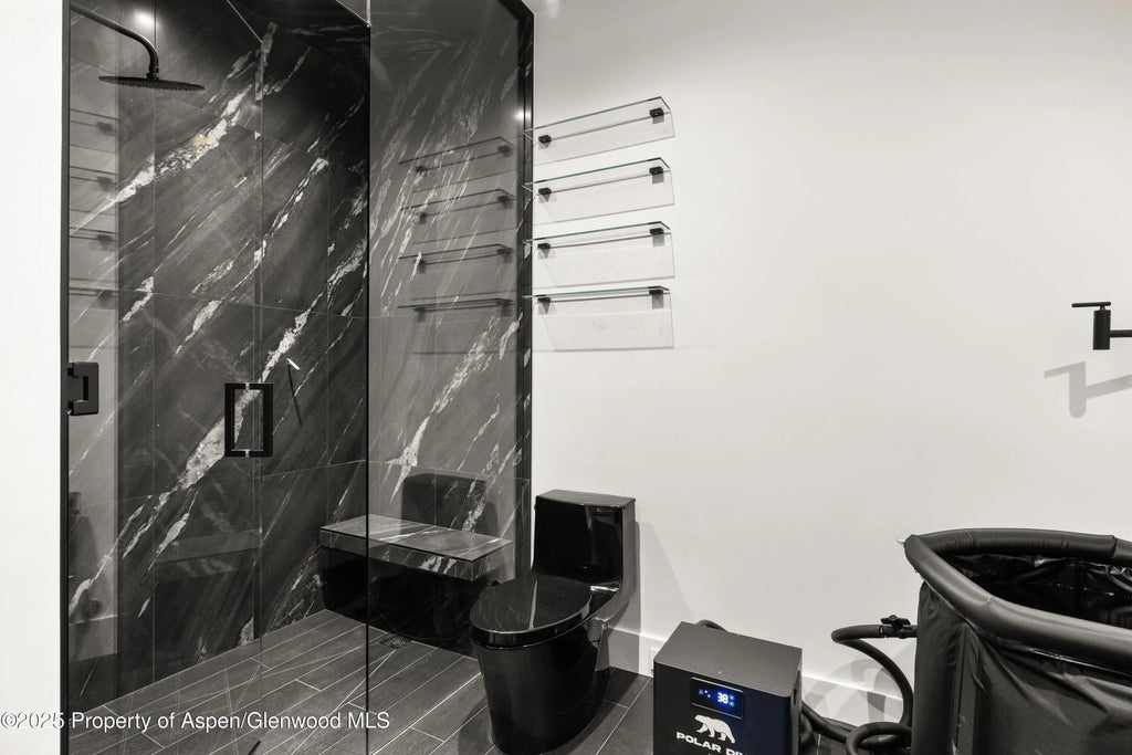 49 of 55 - 219 W Bleeker Street, Aspen, CO