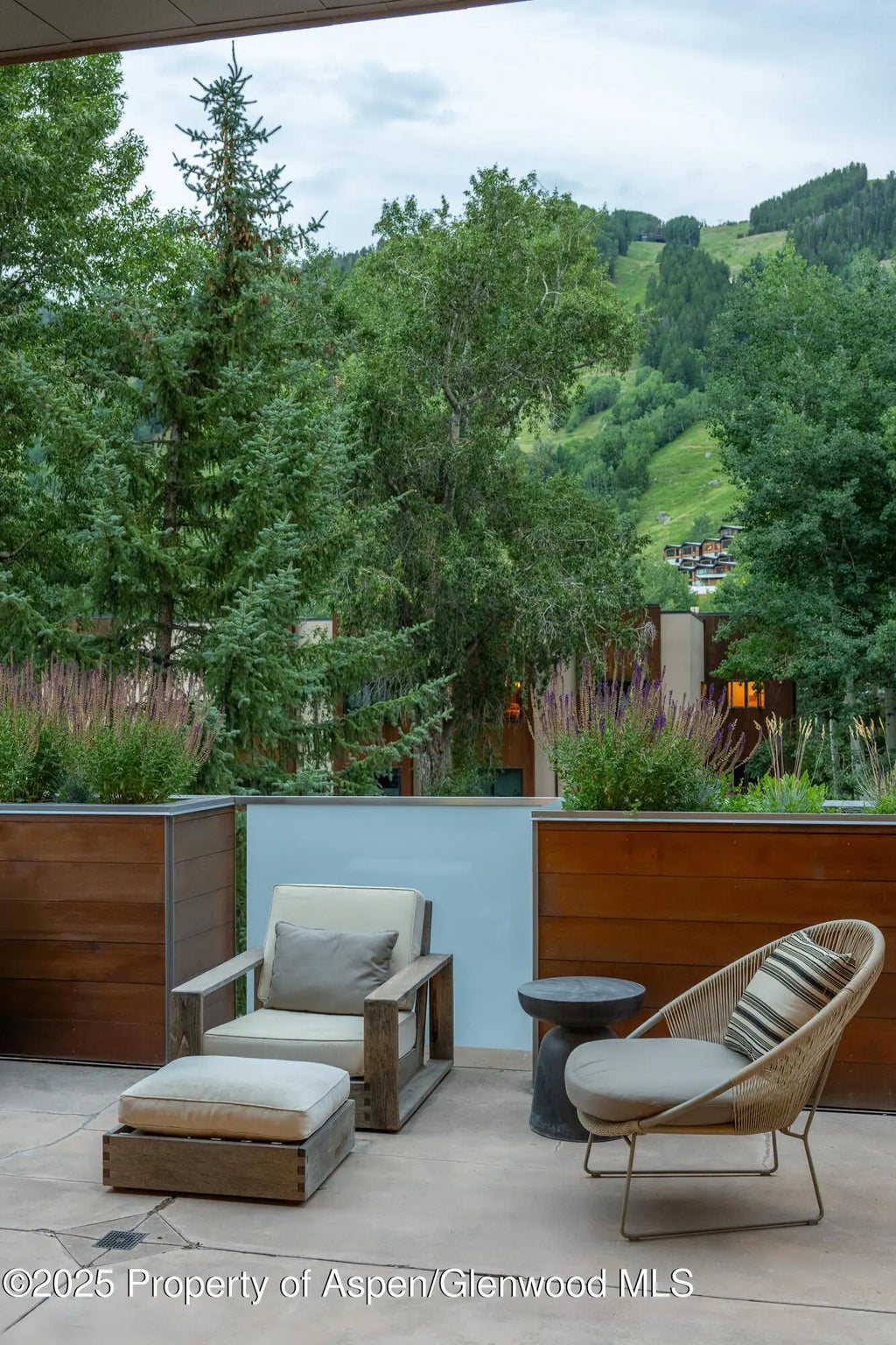 5 of 44 - 100 E Cooper Avenue 11, Aspen, CO